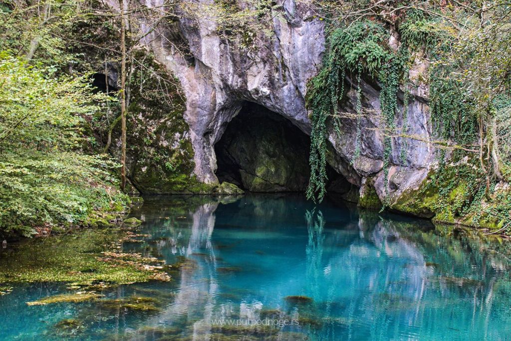 Krupaj Spring, Krupaj Spring, Despotovac