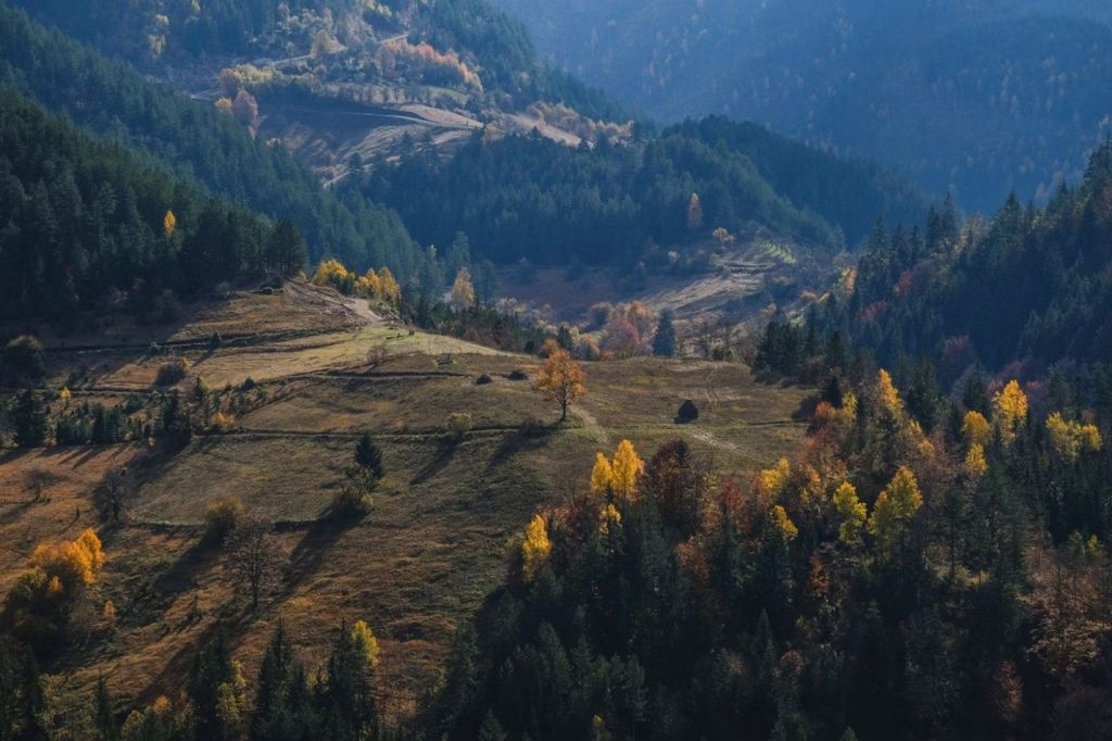 Negotinska Krajina countryside