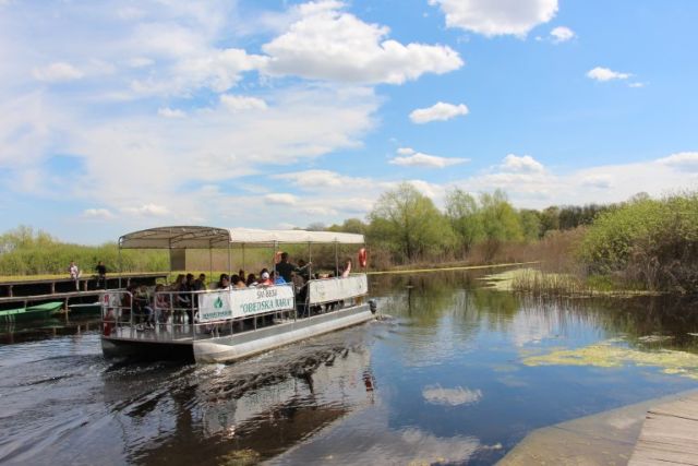 Time Visit Obedska Bara, Obedska Bara : Birdwatching, Walks & Visits