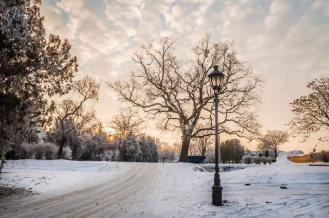 Winter in Novi Sad