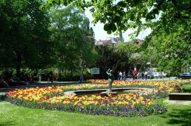 Danube Park | Novi Sad