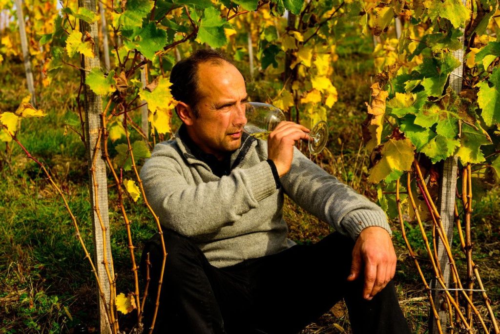 Guide: Serbia's Sustainable Revolution - by Miguel Crunia