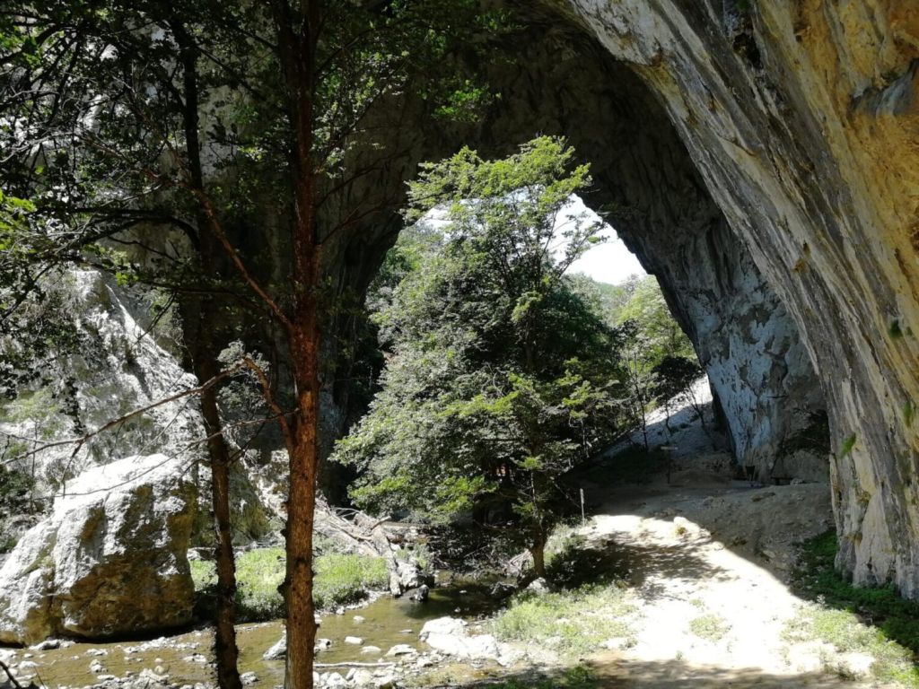 Rogljevačke Pimnice
