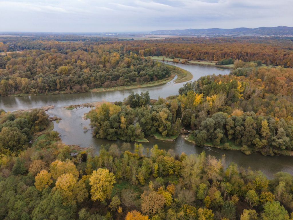 Bačko Podunavlje, Vojvodina | Danube floodplains and birdlife