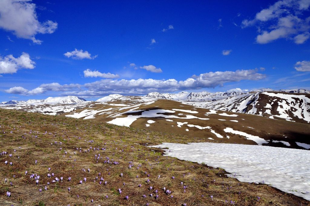 High-mountain terrain of Šar Planina