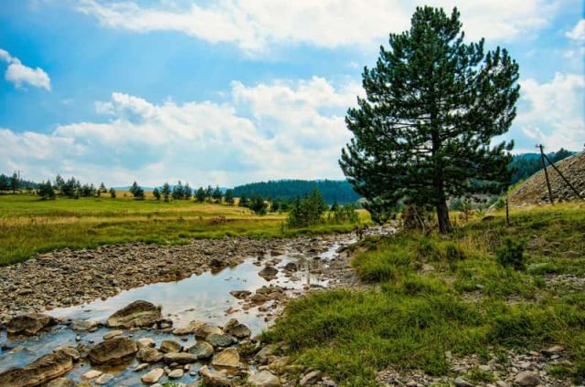 Zlatibor Gondola, Zlatibor Gondola, Zlatibor