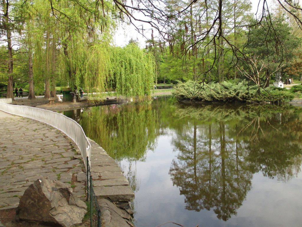 Danube Park lake
