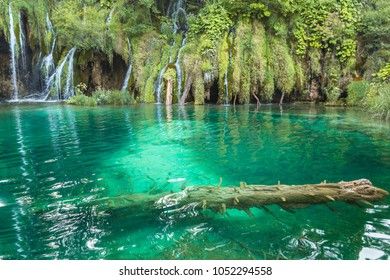 Booking Trip Planning For Piljski Donji Waterfall, Piljski Donji Waterfall, Stara Planina