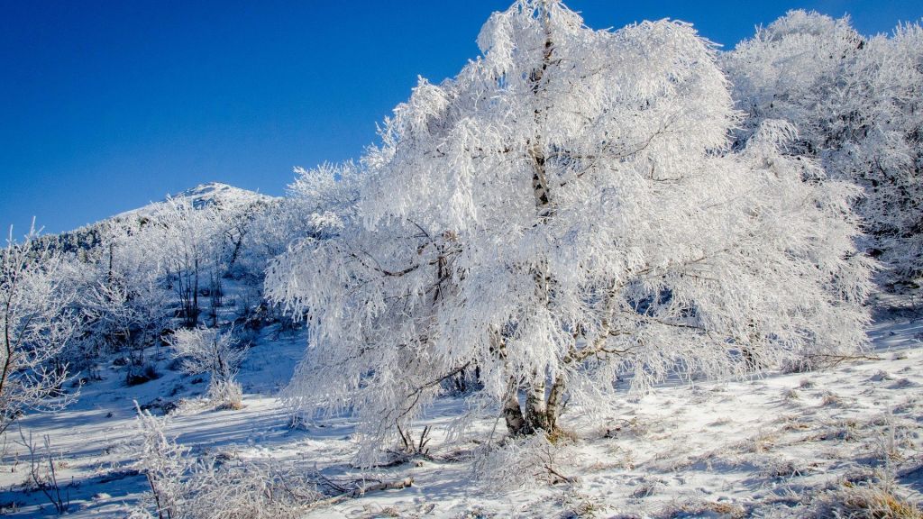 Rtanj Mountain, Serbia