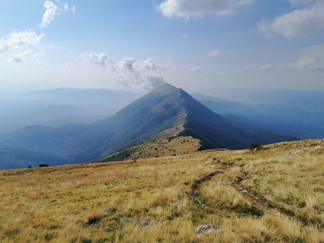 Trem ascent