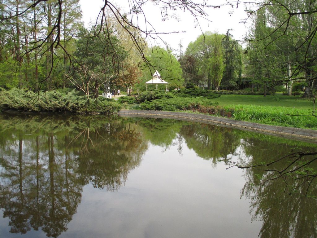 Danube Park, Novi Sad, lake, Serbia