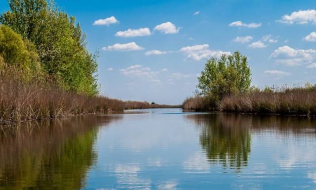 Carska Bara: A Hidden Oasis of the Banat Plains - Balkan Travel - Luxury  Bilingual Magazine
