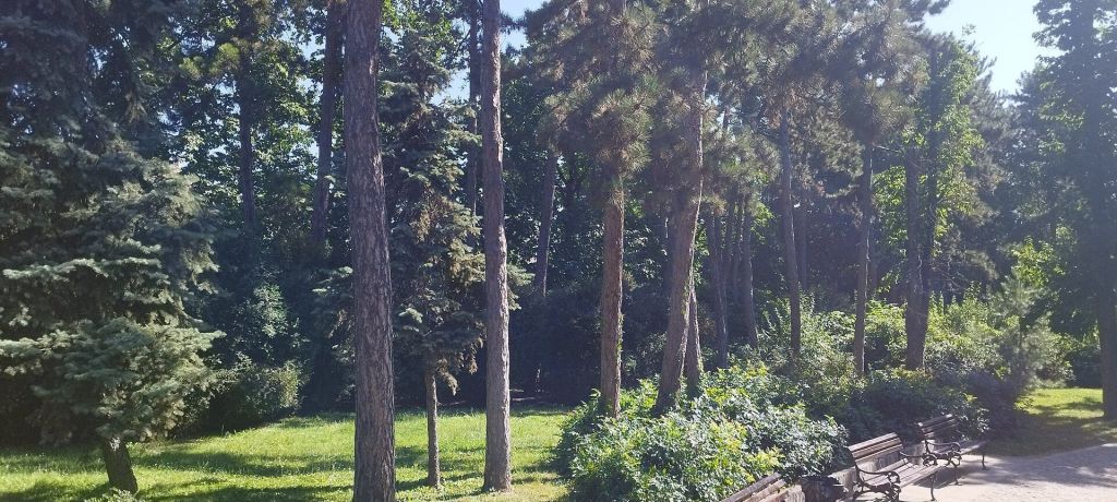 Lake and trees in Danube Park, Novi Sad
