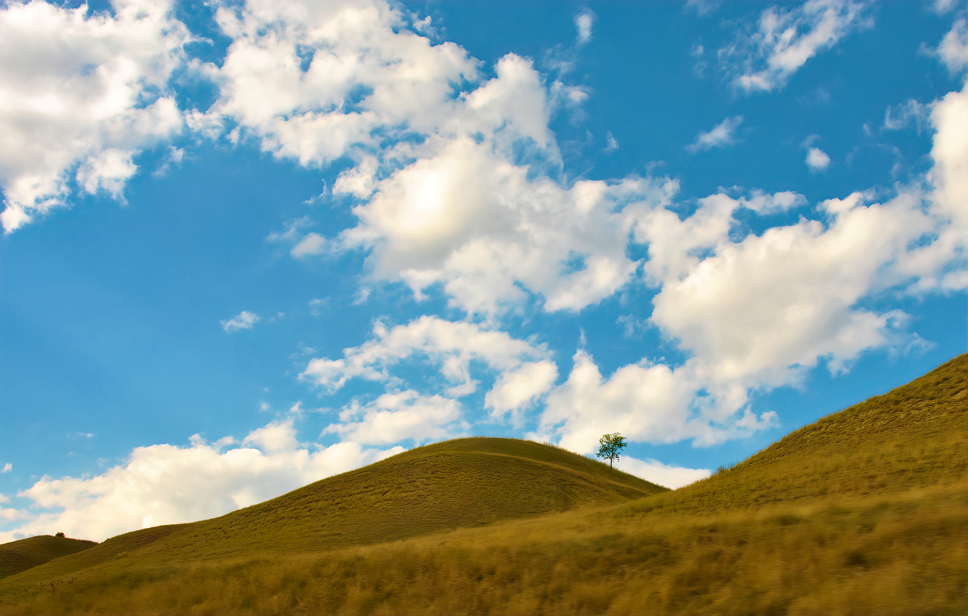 " Тителски брег " специјални резерват природе.jpg
