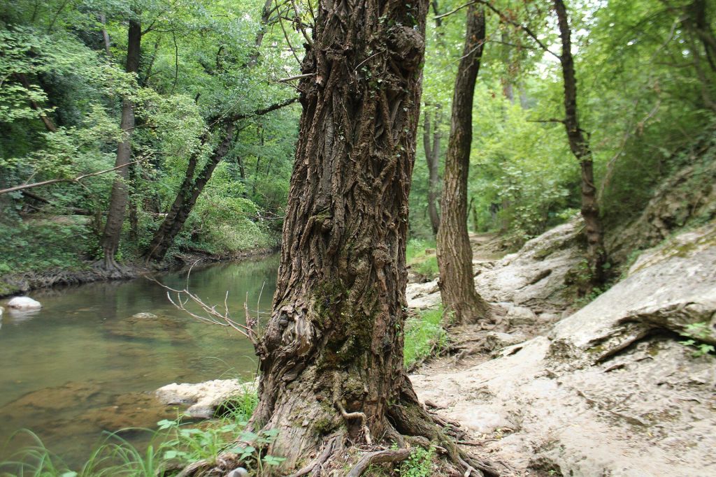 Sokobanja