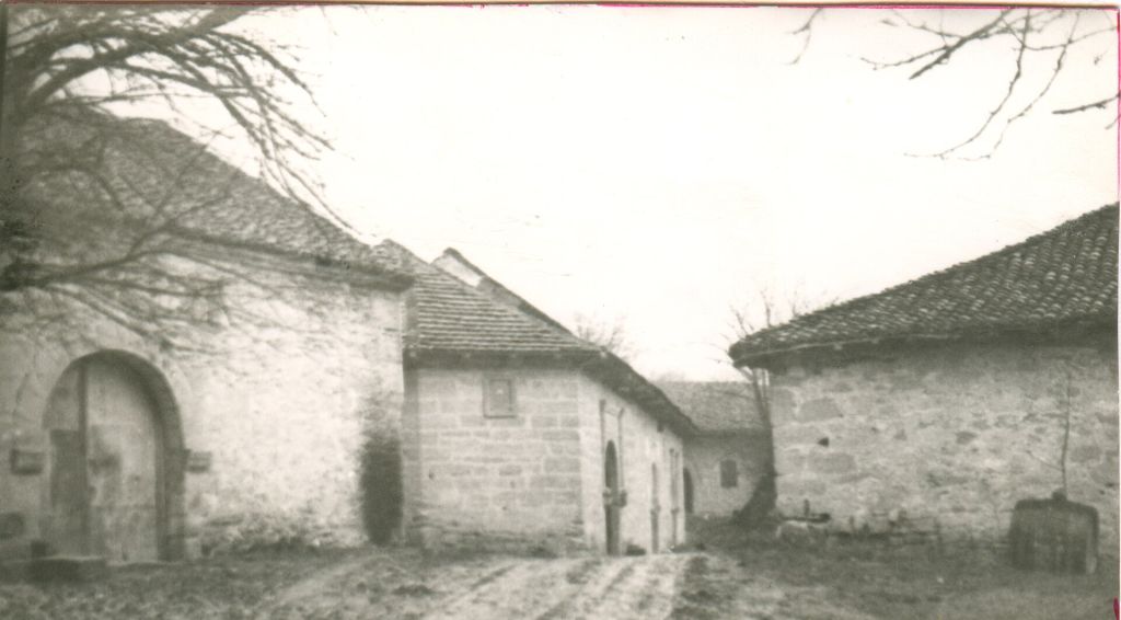 Rajac cellar settlement