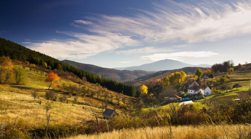 Mountain Cuisine, in Serbia