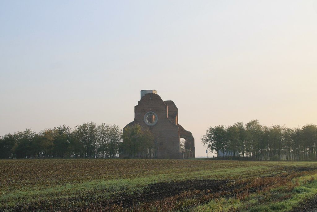 Vojvodina, Arača, Vojvodina