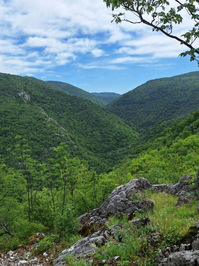 Kučaj Mountains, Kučaj Mountains, Bor and Surroundings