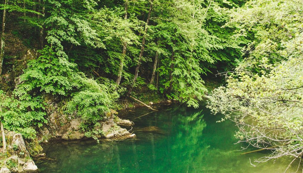 Emerald Karst Water Krupaj Spring, Krupaj Spring, Despotovac
