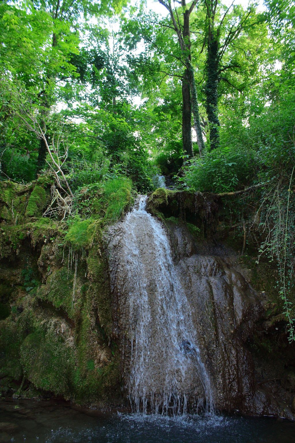 Ripaljka,Sokobanja 10.jpg