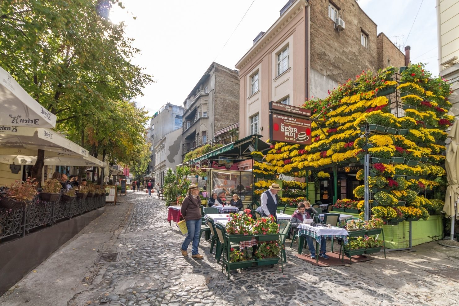 Skadarlija, the historic bohemian quarter of Belgrade