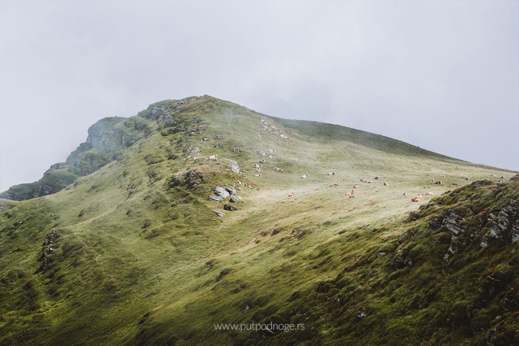 When Go Babin Zub, Babin Zub, Stara Planina