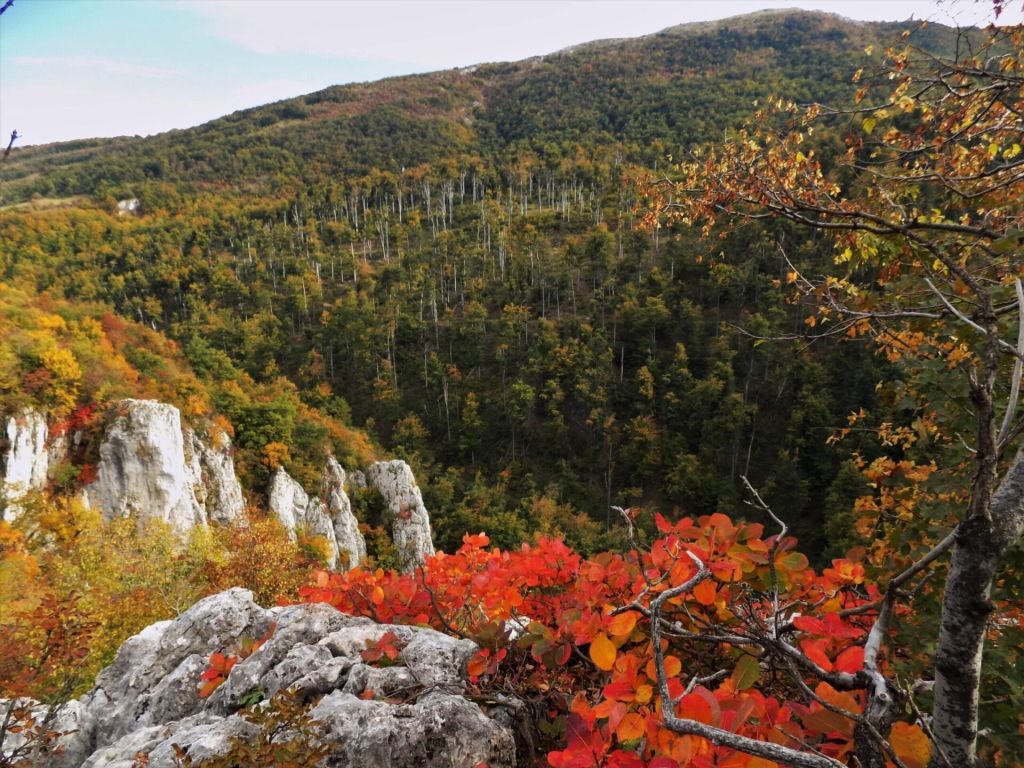 Đerdap National Park