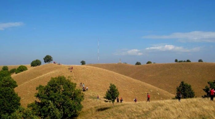 Deliblato Sands, Serbia - the Forgotten Nature Reserve ...