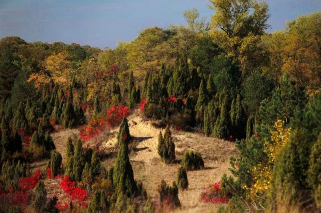 Deliblato Sands Travel Guide