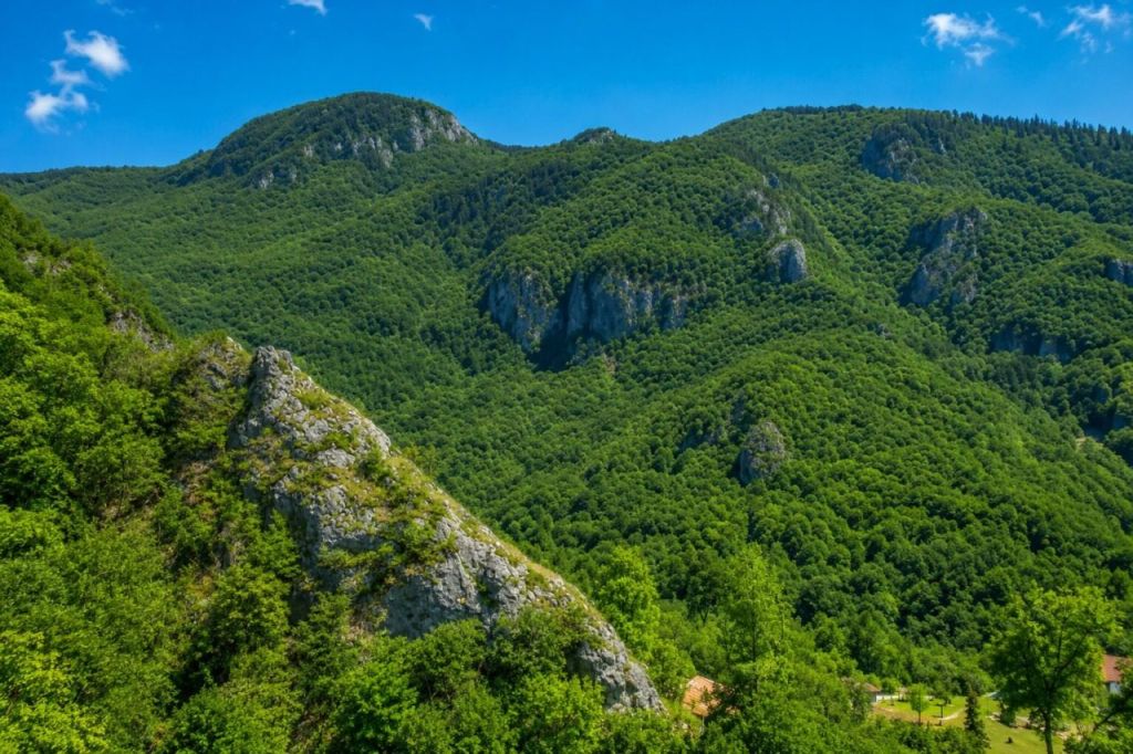 Forest-edge approach to Brestovačka Banja
