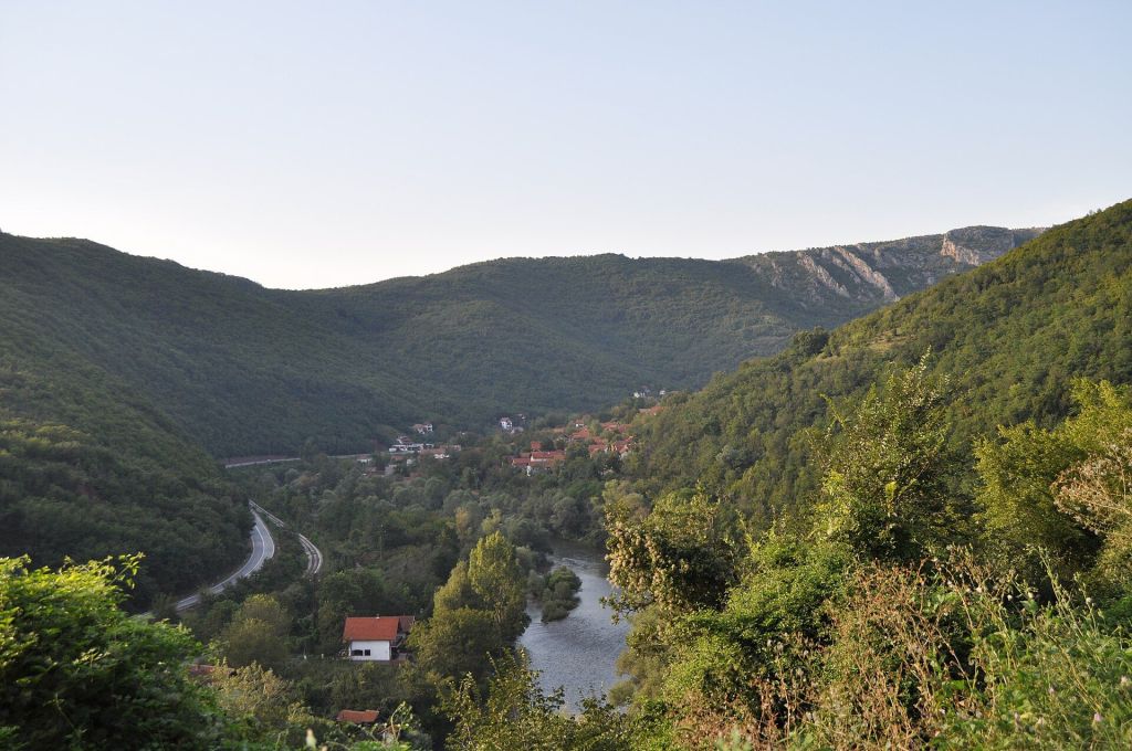Prosek