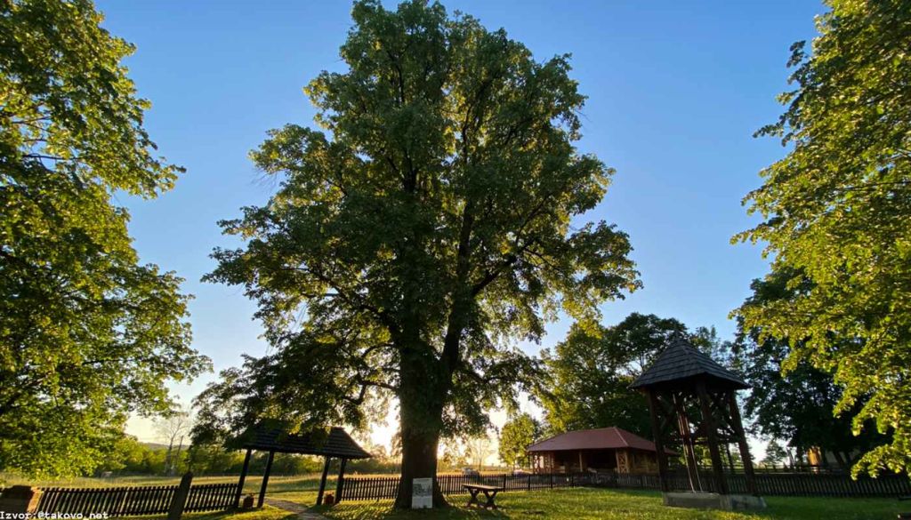 Takovski Grm Takovo Memorial Complex: Memory Beyond Original Oak, Takovo Memorial Complex: Museum, Church &