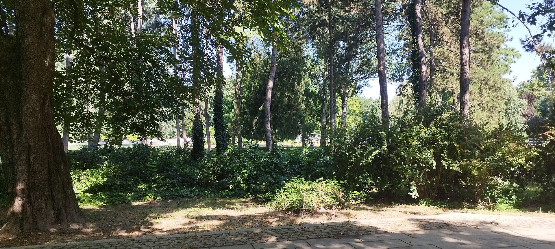 Dunavski park, Novi Sad, 07-2023-100.jpg