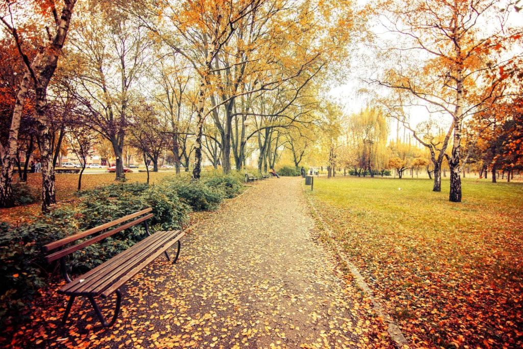 Shaded bench areas