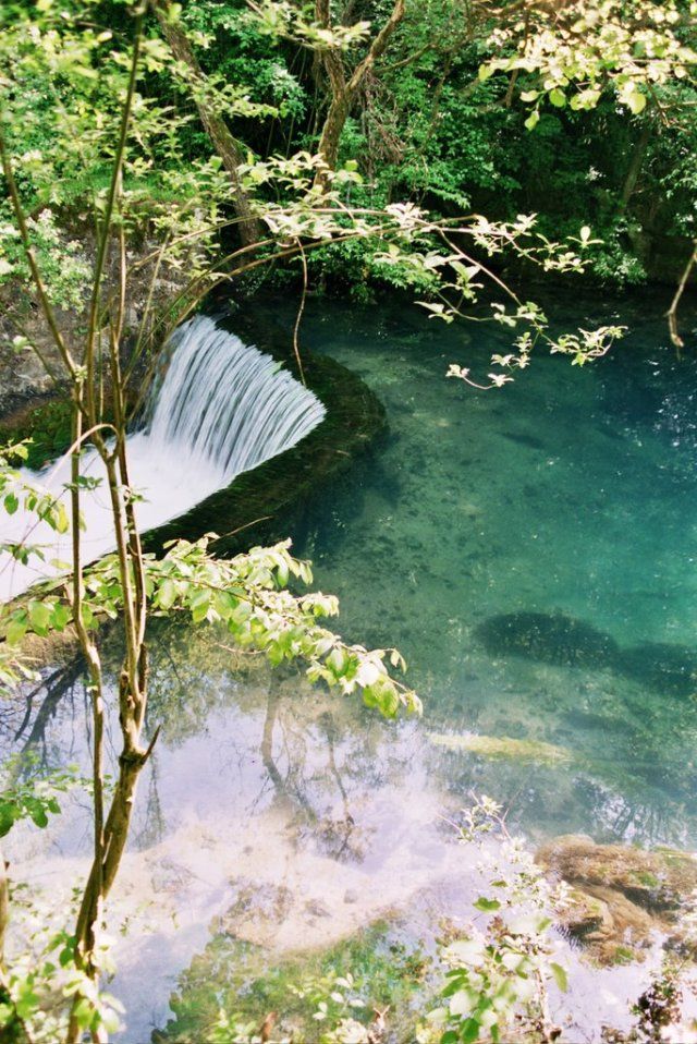 Krupaj Spring, Despotovac | Emerald Karst Spring