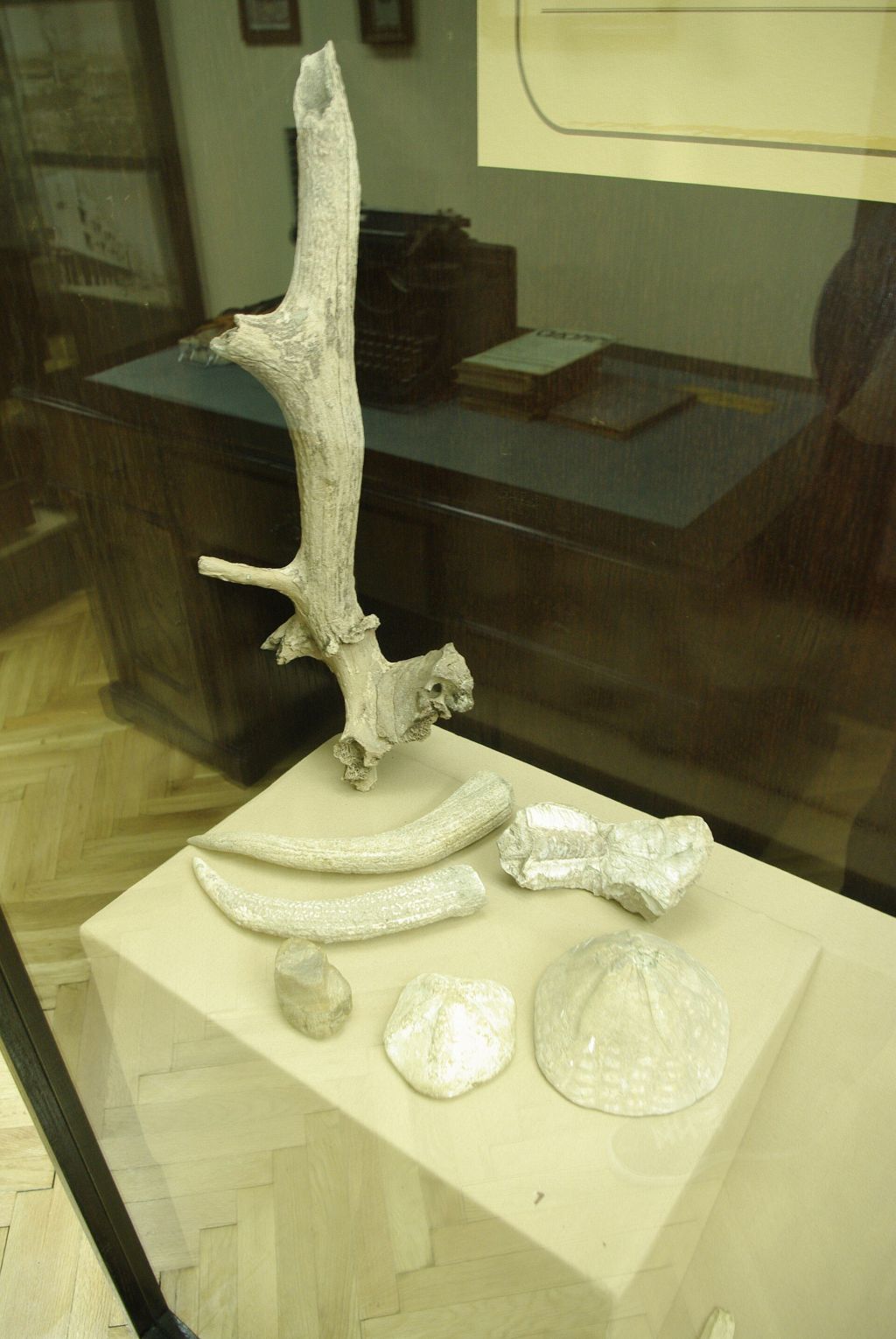 Jadar Museum