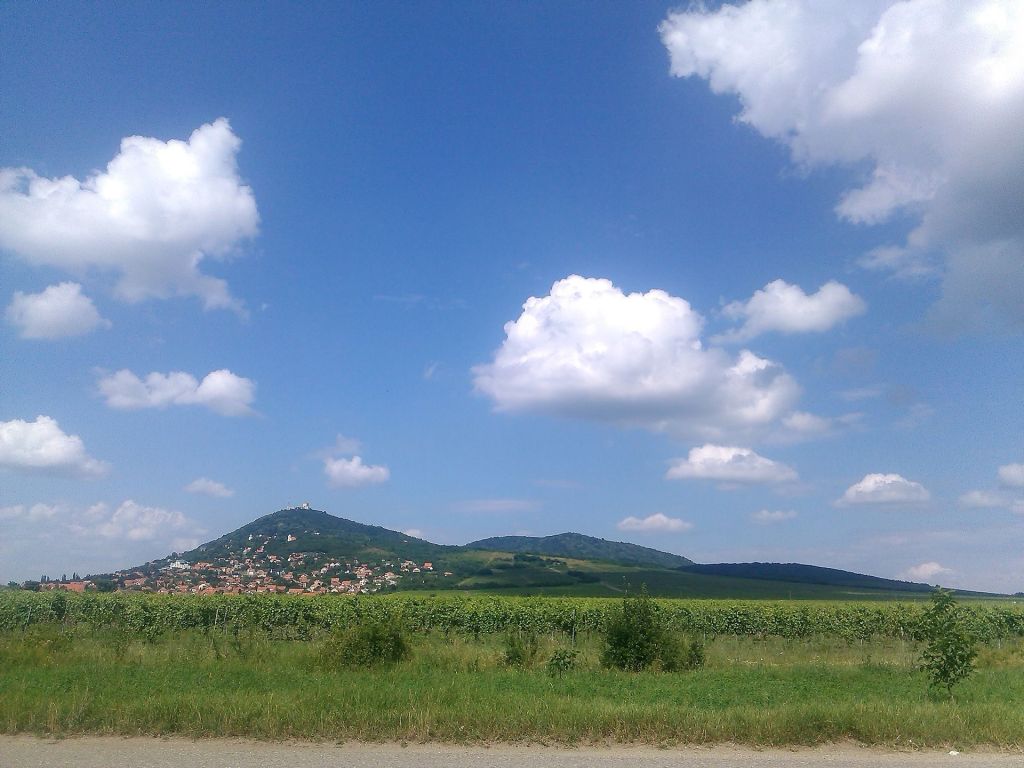 Planning Wine Cellars, Vršac Visit Well, Wine Cellars, Vršac