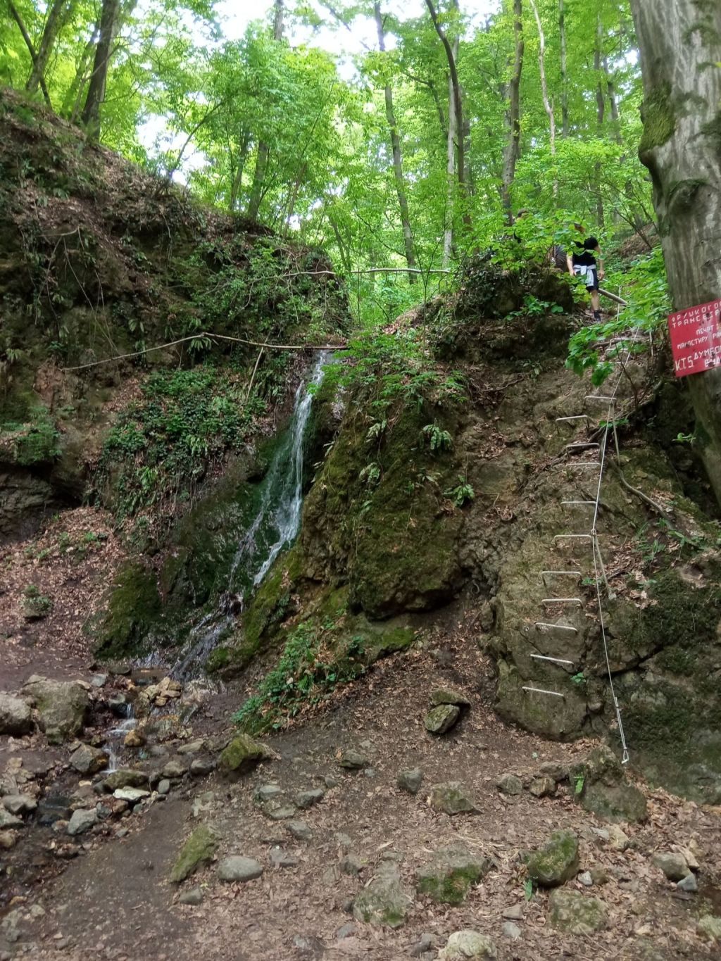 Forest paths of Fruška Gora