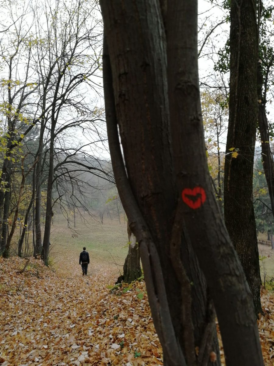 Hiking tour in Fruška Gora National Park