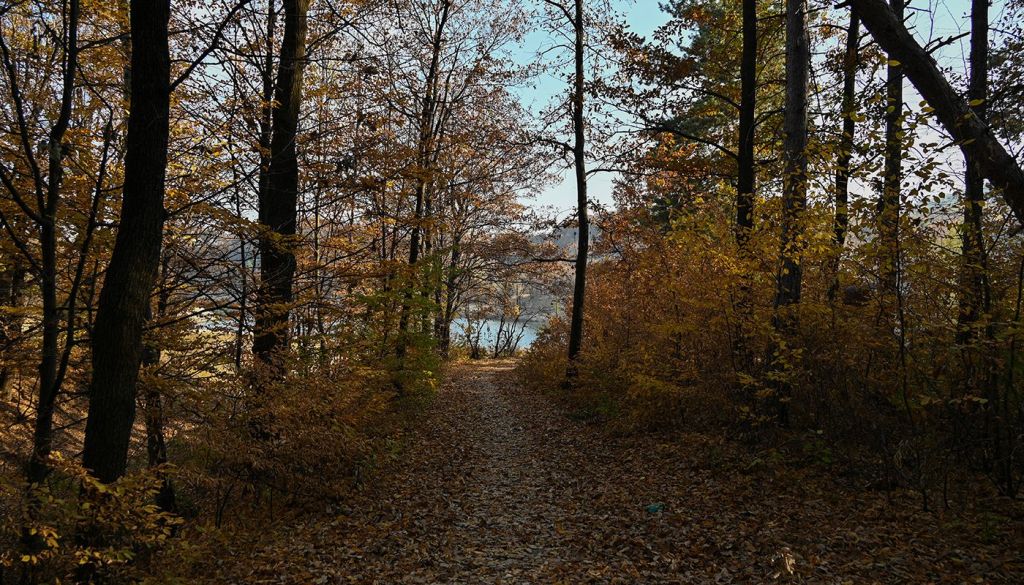 Brestovačka Banja