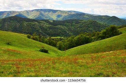 Time Visit Uvac Meanders & Griffon Vulture Reserve, Uvac Meanders & Griffon Vulture Reserve