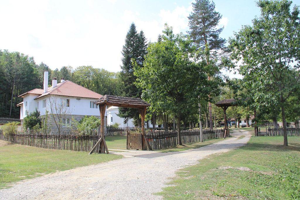 Brankovina