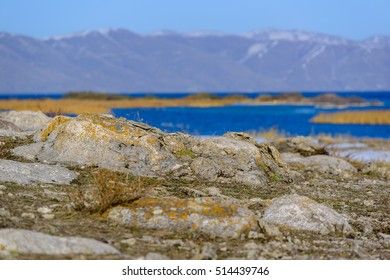 Nature Trips Bor Surroundings, Bor and Surroundings