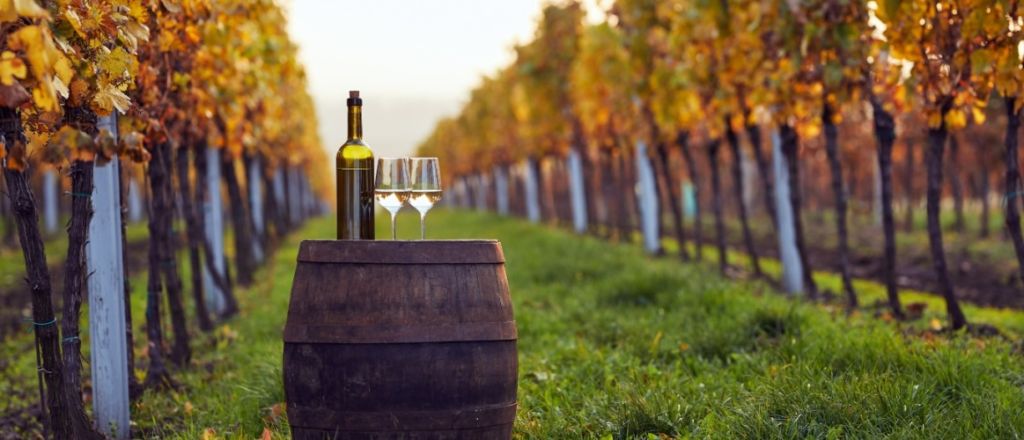 Practical Tips: Monastery Dress Code, Tasting Etiquette, Costs Time Go, Serbia Wine & Monasteries