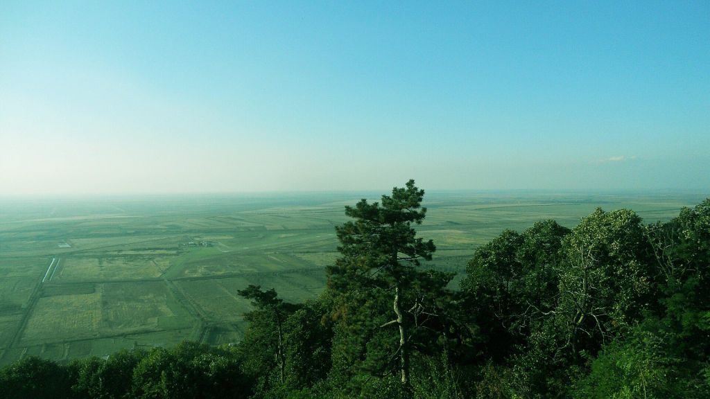 Forest walking routes above Vršac