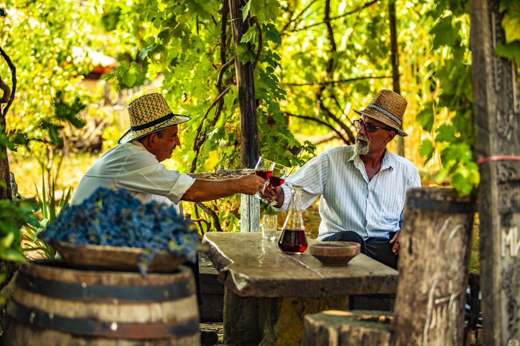 Туристичка организација Србије - Wine