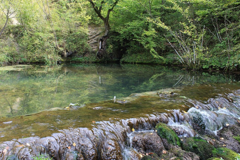 Jelovica Spring