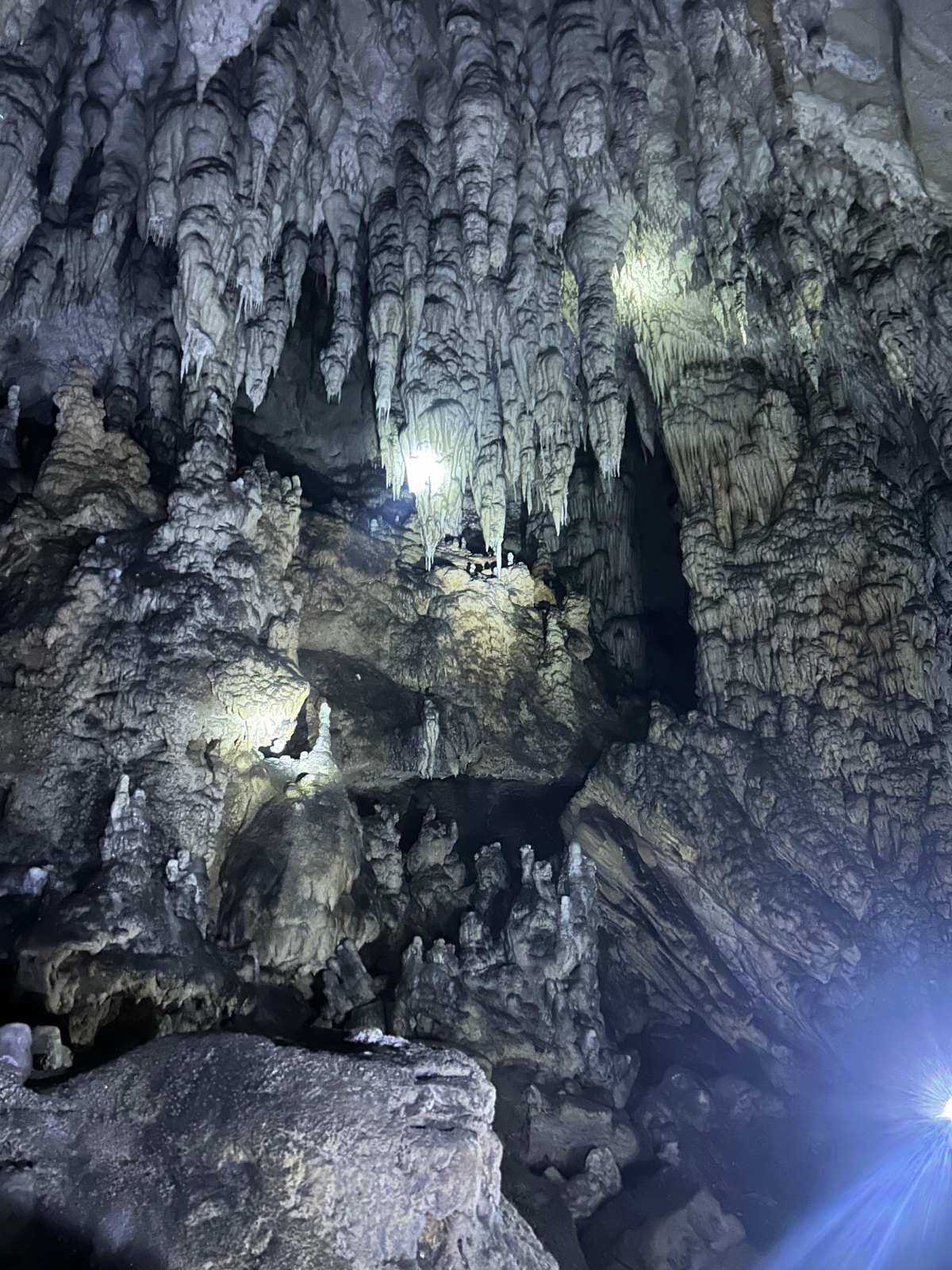 Uvac Meanders & Griffon Vulture Reserve, Nova Varoš | Boat Tours & Ice Cave
