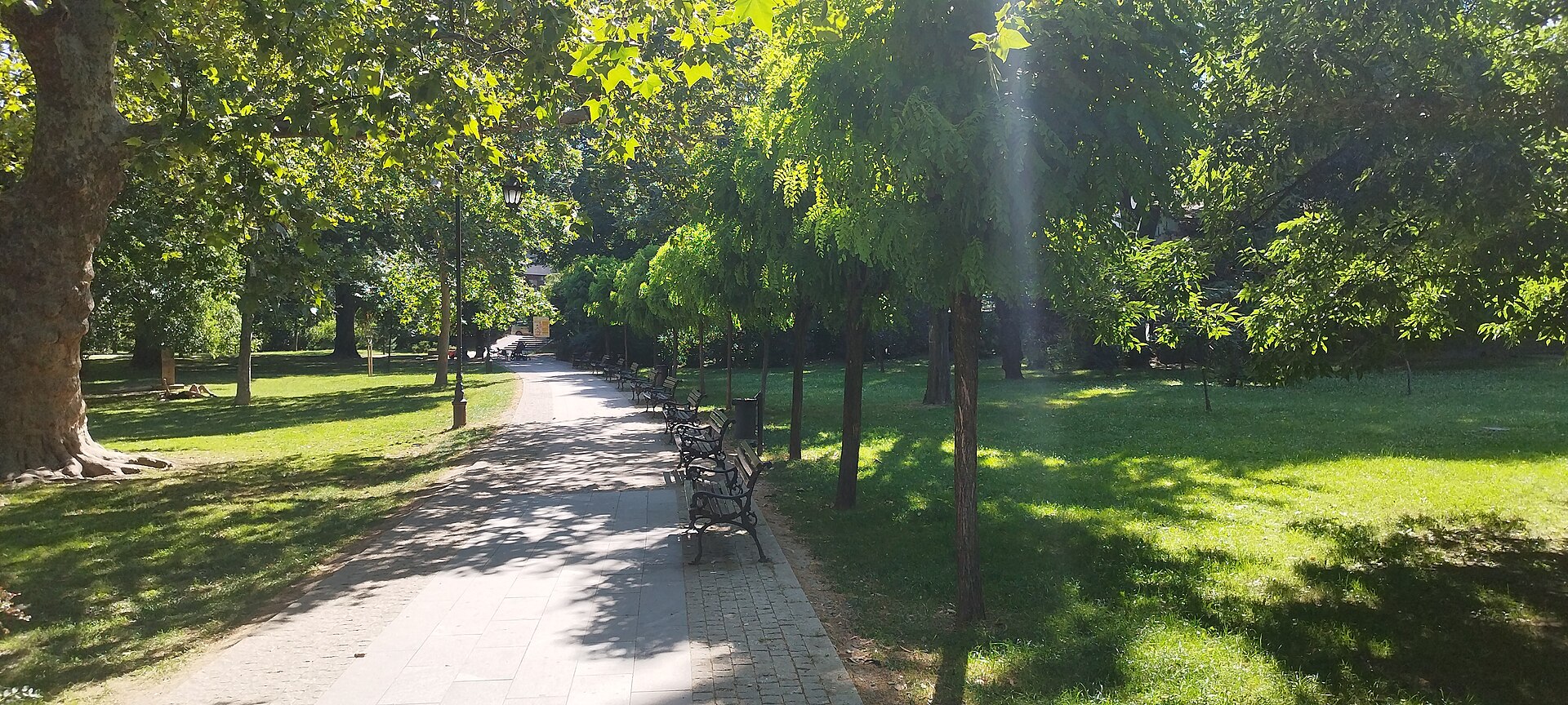 Dunavski park, Novi Sad, 07-2023-82.jpg